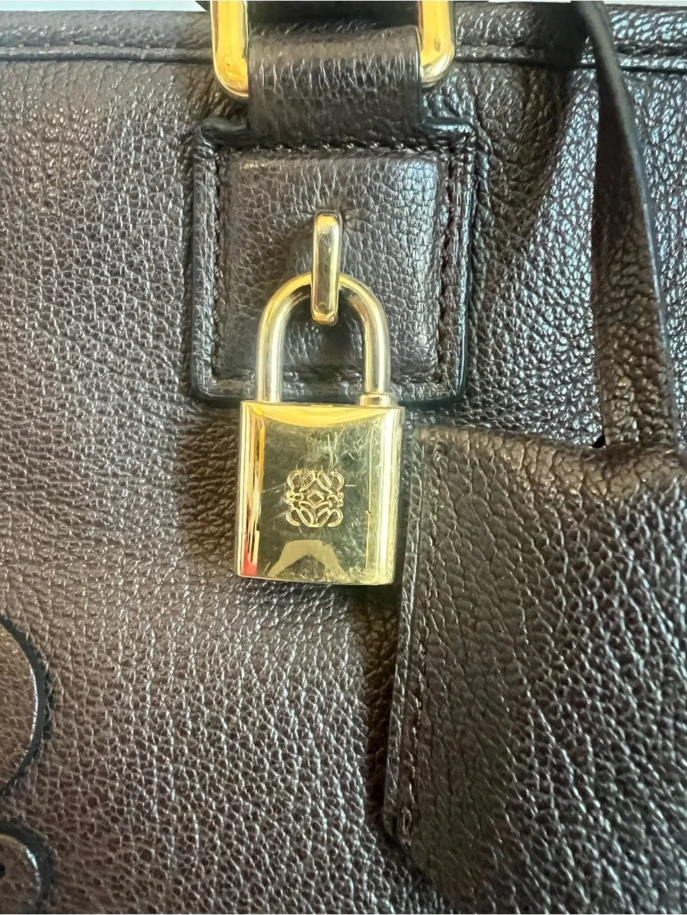 Loewe Amazona Bag